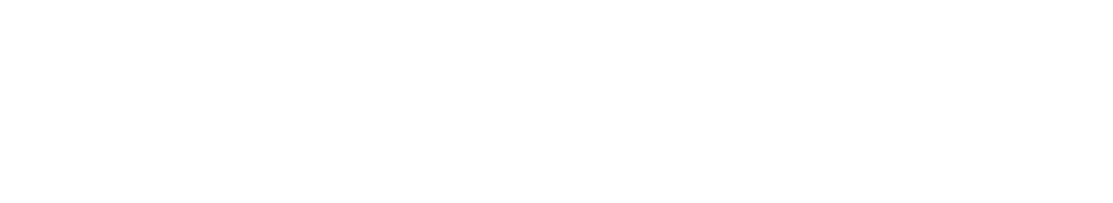 white logo winbox
